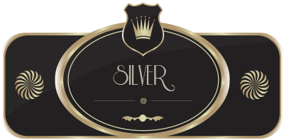 Inchiriere limuzine - pachetul Silver